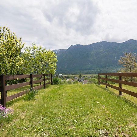 Apartment Soca Valley Бовец Экстерьер фото